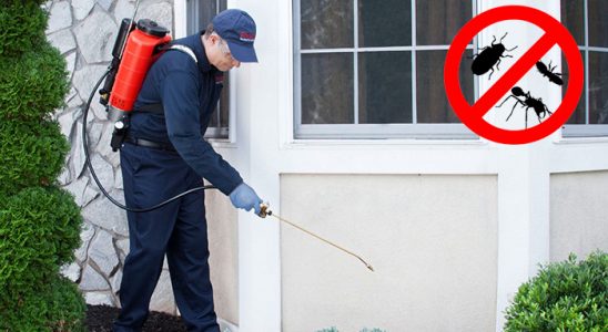 Uğurludağ Bit İlaçlama böcek ilaçlama ve haşere kontrolü — ilaclama-tr.com